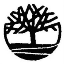 رسم لشجرة ضمن اطار على شكل قوس والجزء السفلي من القوس مجزا الى