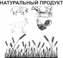 НАТУРАЛьНЫЙ ПРОДУКТ NATURALNIY PRODUCT