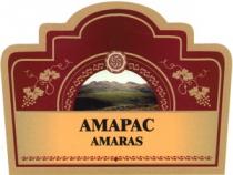 АМАРАС AMARAS