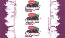 ՆՈՒԳԱ NOUGAT DAROINK