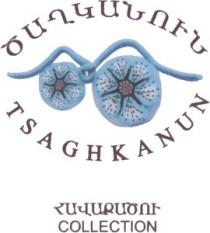 ԾԱՂԿԱՆՈՒՆ ՀԱՎԱՔԱԾՈՒ TSAGHKANUN COLLECTION