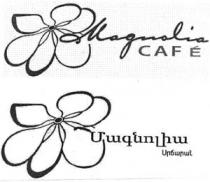 ՄԱԳՆՈԼԻԱ ՍՐՃԱՐԱՆ MAGNOLIA CAFE