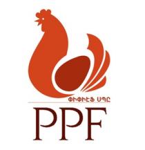 ՓԻՓԻԷՖ ՍՊԸ PPF