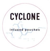 CYCLONE CBD INFUSED POUCHES