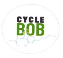 CYCLE BOB