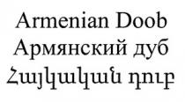 ՀԱՅԿԱԿԱՆ ԴՈՒԲ АРМЯНСКИЙ ДУБ ARMENIAN DOOB