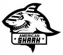AMERICAN SHARK