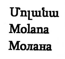 ՄՈԼԱՆԱ МОЛАНА MOLANA