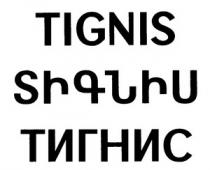 ՏԻԳՆԻՍ ТИГНИС TIGNIS