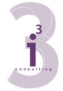 I3 3 CONSULTING