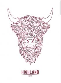 HIGHLAND HORN