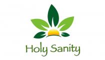 HOLY SANITY