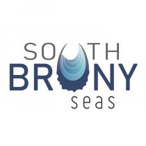 SOUTH BRUNY SEAS