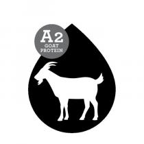 A2 GOAT PROTEIN