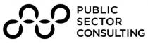 PUBLIC SECTOR CONSULTING