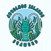 ABROHLOS ISLANDS SEAWEED