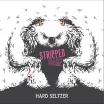 STRIPPED BARE HARD SELTZER