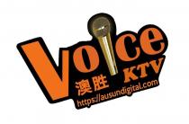 VOICE KTV HTTPS://AUSUNDIGITAL.COM