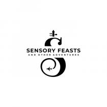 S SENSORY FEASTS AND OTHER ADVENTURES