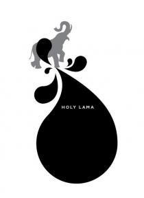 HOLY LAMA SPICE DROPS NATURAL EXTRACT