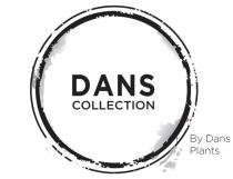 DANS COLLECTION BY DANS PLANTS