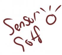 SENSOR GOLF
