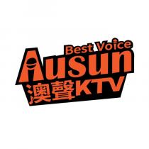 AUSUN BEST VOICE KTV