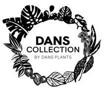 DANS COLLECTION BY DANS PLANTS