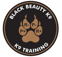 BLACK BEAUTY K9 K9 TRAINING P+ R- P- R+