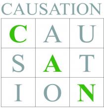 CAUSATION CAU SAT ION