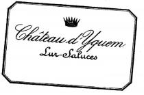 CHATEAU D'YQUEM;LUR-SALUCES