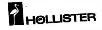 HOLLISTER