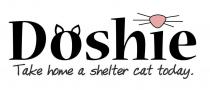 DOSHIE TAKE HOME A SHELTER CAT TODAY