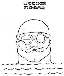 ACCOM NOOSA