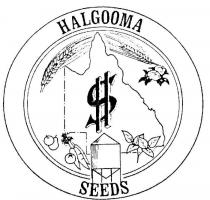 HALGOOMA SEEDS