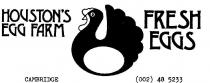 HOUSTON'S EGG FARM