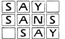 SAY SANS SAY