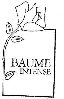 BAUME;INTENSE