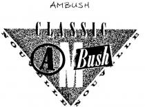 CLASSIC AMBUSH;NOUVELLE