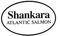 SHANKARA;ATLANTIC SALMON