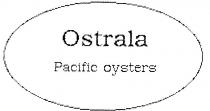 OSTRALA;PACIFIC OYSTERS