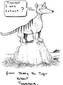 THOUGHT I WAS EXTINCT?;FROM TASSY THE TIGER HOBART TASMANIA
