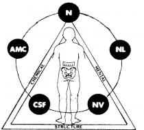 N AMC CSF NV NL CHEMICAL MENTAL STRUCTURE