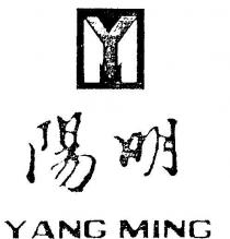 YM YANG MING