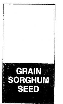 GRAIN SORGHUM SEED