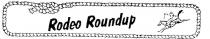 RODEO ROUNDUP