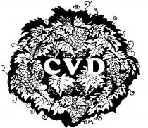 CVD