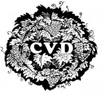 CVD