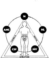 CHEMICAL MENTAL STRUCTURE N NL NV CSF AMC