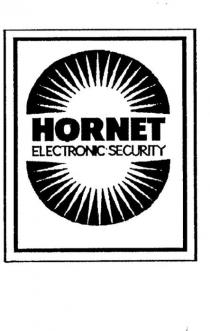 HORNET ELECTRONIC SECURITY